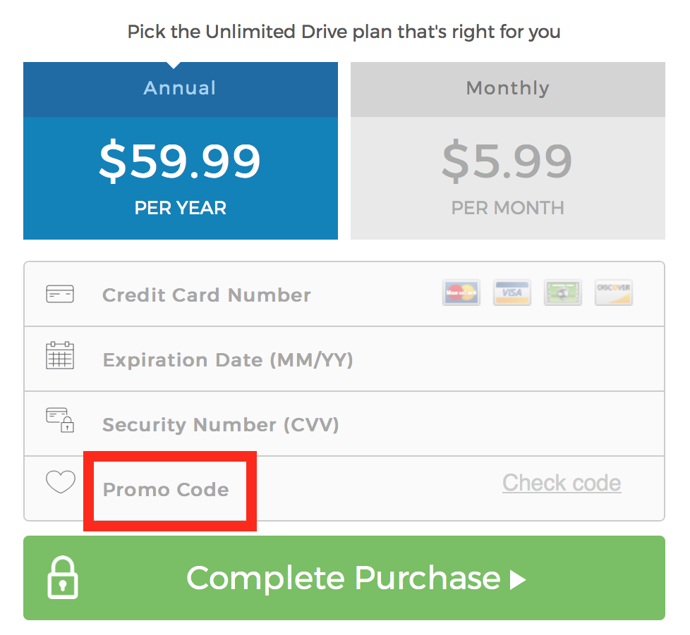 Screenshot shows the promo code field circled to input your promo code